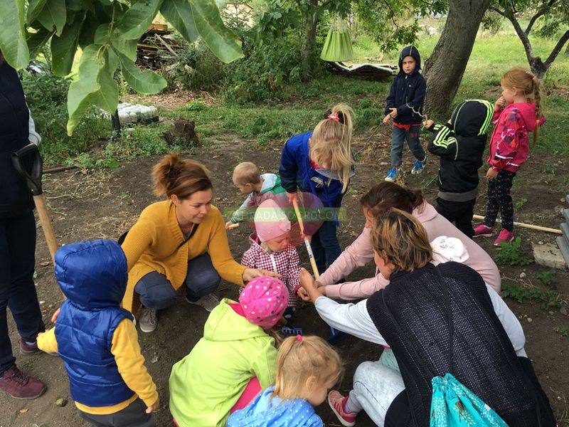 ako sa postarat o prirodu